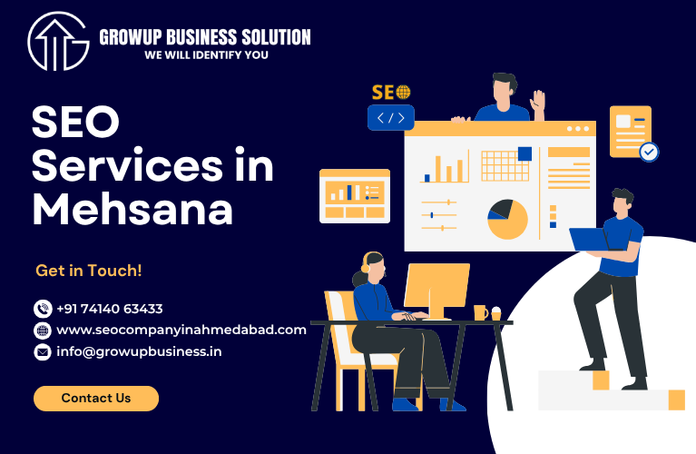 SEO Services in Mehsana